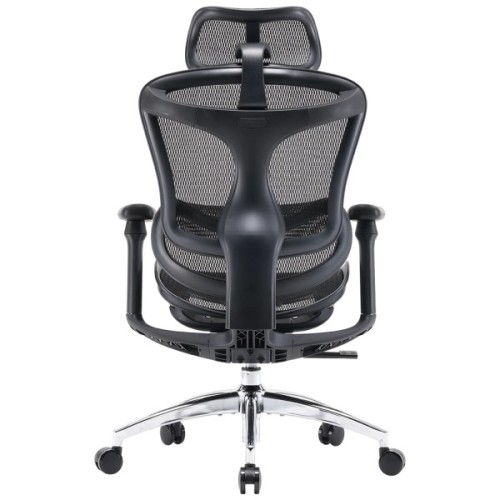 Офісне крісло Sihoo DORO C300L Mesh Black (DORO-C300L-A3-101)