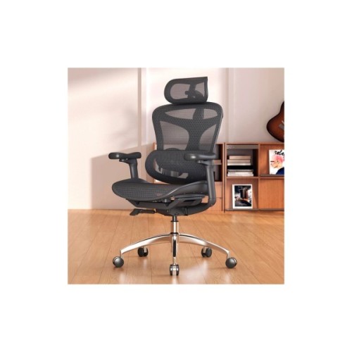 Офісне крісло Sihoo DORO C300L Mesh Black (DORO-C300L-A3-101)