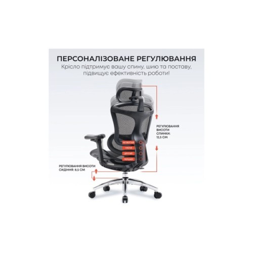 Офісне крісло Sihoo DORO C300L Mesh Black (DORO-C300L-A3-101)