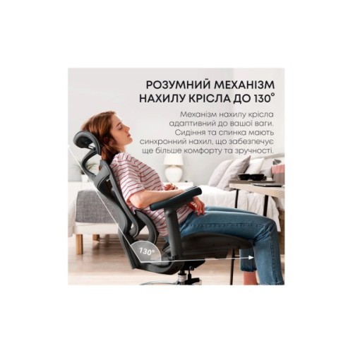 Офісне крісло Sihoo DORO C300L Mesh Black (DORO-C300L-A3-101)