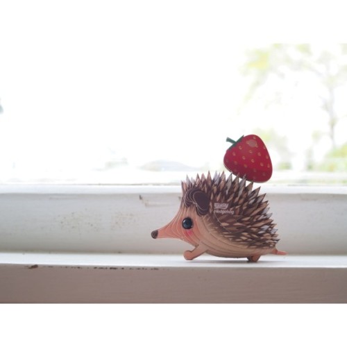 Пазл Eugy 3D Зоопарк Їжак (XEG-026)