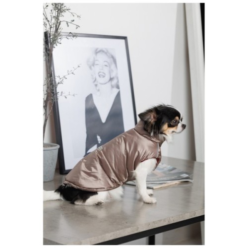 Жилет для тварин Pet Fashion Hardy XL (4823082437450)