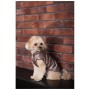 Жилет для тварин Pet Fashion Hardy XL (4823082437450)