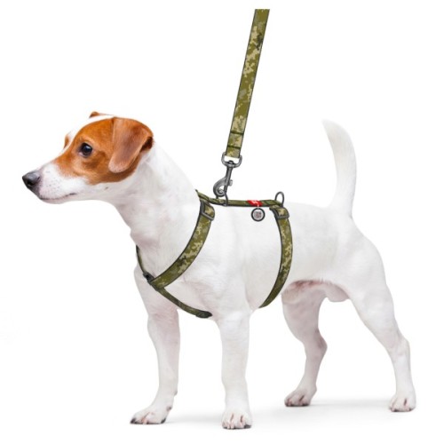 Шлея для собак WAUDOG Nylon з QR паспортом анатомічна H-подібна "Мілітарі" M (321-4026)