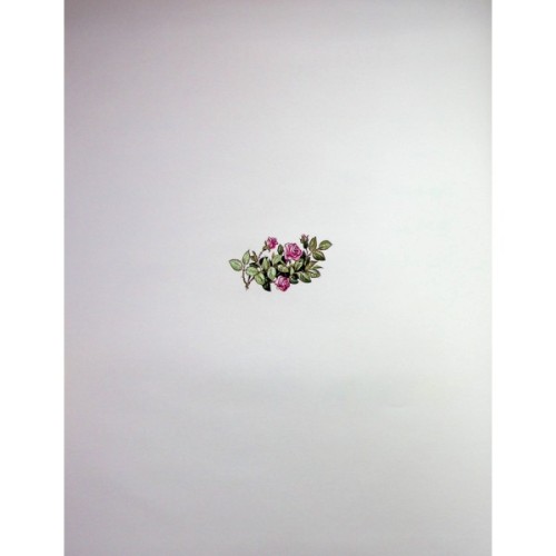 Книга Велика книга про фей і принцес - Пітер Холейнон Vivat (9786171704756)