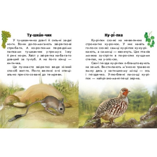 Книга Читаю про Україну. Тварини степів - Ю.В. Каспарова Ранок (9786170981370)