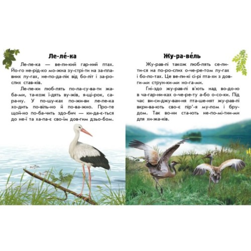 Книга Читаю про Україну. Тварини степів - Ю.В. Каспарова Ранок (9786170981370)