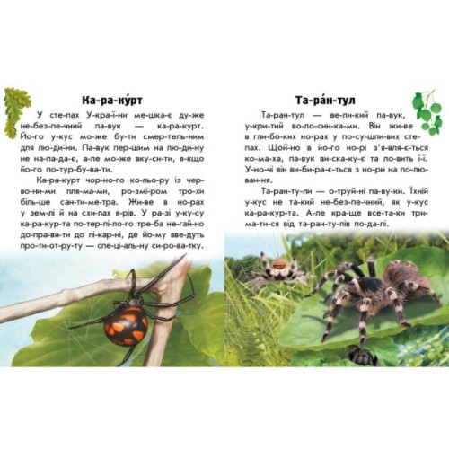 Книга Читаю про Україну. Тварини степів - Ю.В. Каспарова Ранок (9786170981370)