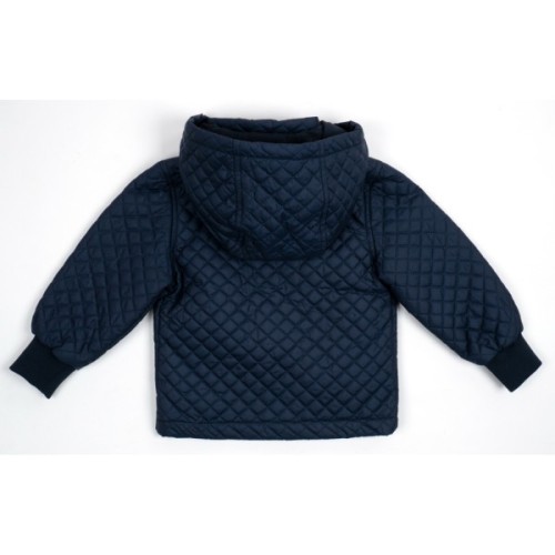 Куртка дитяча Verscon демісезонна з капюшоном (3196-116B-blue)