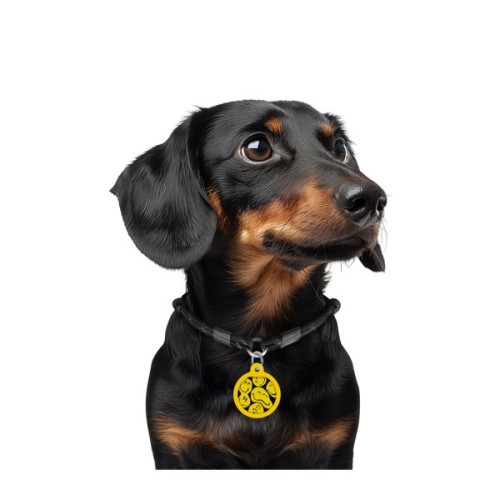 Адресник для тварин WAUDOG Smart ID з QR паспортом "Смайли на чорному", коло 25 мм (225-0181)