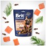Ласощі для собак Brit Premium Semi-moist Snacks Salmon with Dill напіввологі з лососем і кропом 180 г (8595602573936)