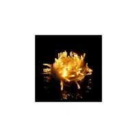 Гірлянда Voltronic Діод White Hot 200 LED, 20 м., 8 режимів, прозора (Garl-200LED-20mWH)