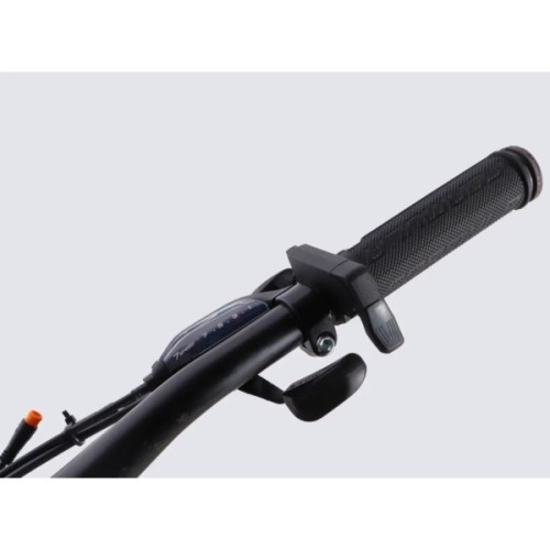 Електровелосипед Formula 29" eMOTION PLUS DD FR рама-19" 36B 12.5А*г 500Вт 2026 зелено-сірий (ELB-FR-29-257)