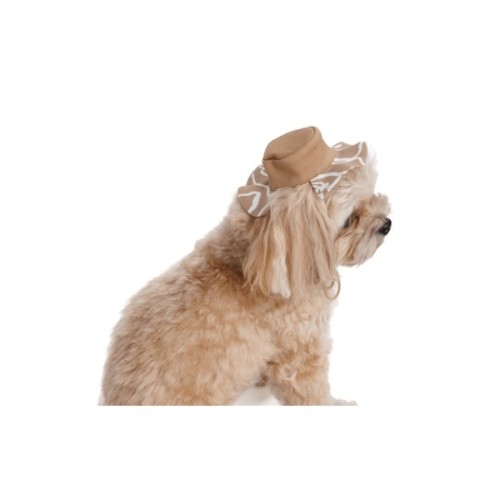Кепка для тварин Pet Fashion Print XL (4823082446070)