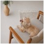 Кепка для тварин Pet Fashion Print XL (4823082446070)