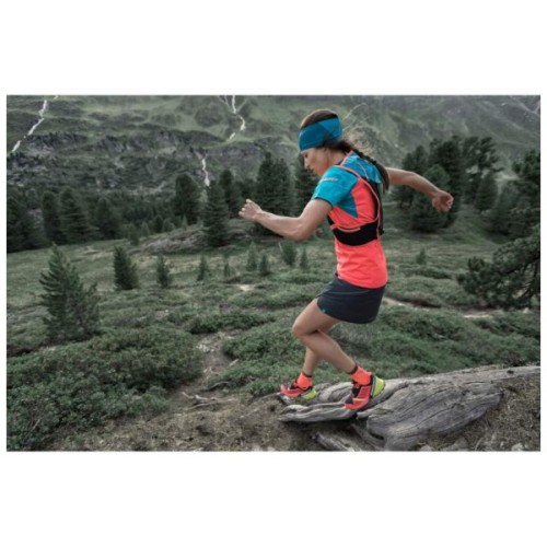 Шкарпетки Dynafit Alpine Short 70879 0911 - 35-38 - чорний (016.002.0897)