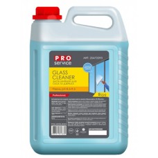 Засіб для миття скла PRO service Морозна свіжість 5 л (4823071616880)