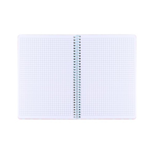 Блокнот Axent на спіралі А5 80 аркушів, клітинка, пластикова обкладинка, персиковий (8462-3-A)