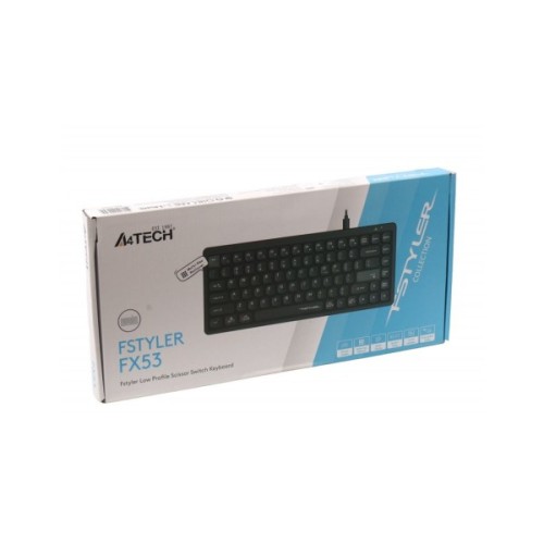Клавіатура A4Tech FX53 USB UA Black (4711421002394)