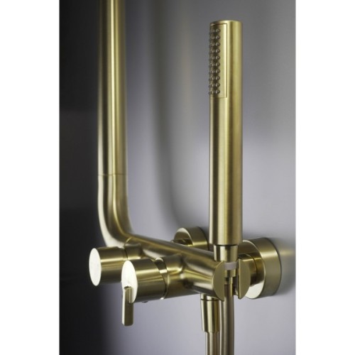 Душовий гарнітур Deante Silia зі змішувачем для душу (NQS_R4XM)