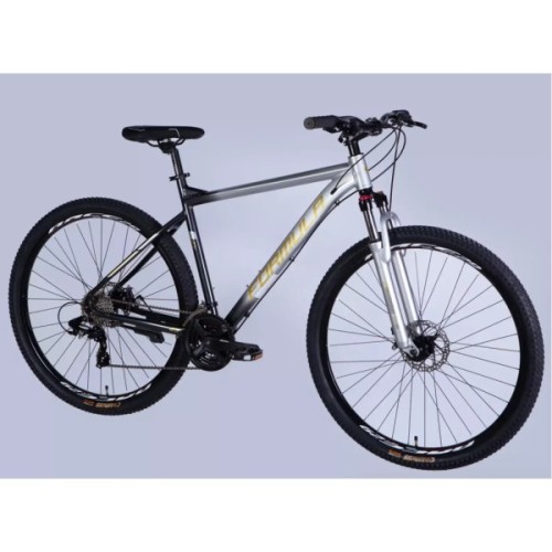 Велосипед Formula 29" F-1 DD CS рама-21" AL 2026 сріблясто-чорний (OPS-FR-29-438)