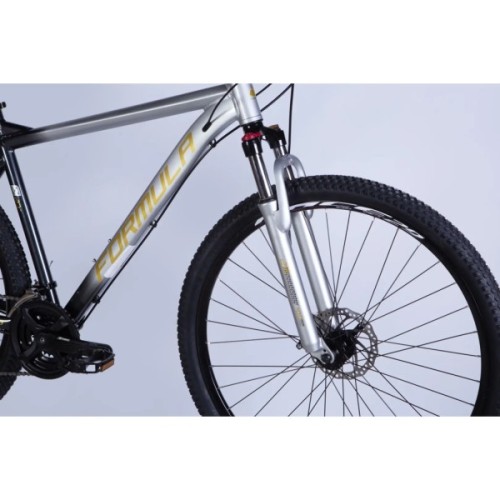 Велосипед Formula 29" F-1 DD CS рама-21" AL 2026 сріблясто-чорний (OPS-FR-29-438)