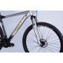 Велосипед Formula 29" F-1 DD CS рама-21" AL 2026 сріблясто-чорний (OPS-FR-29-438)
