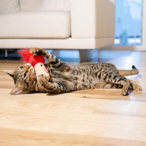 Іграшка для котів Catstages Грибок з м'ятою для зубів (0700603714266)