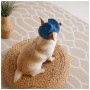 Кепка для тварин Pet Fashion Stars S (4823082446124)