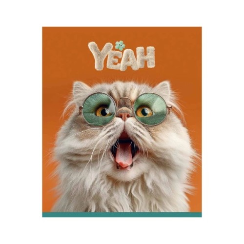 Зошит Школярик Star Cat's portraits 48 аркушів клітинка (048-3631K)