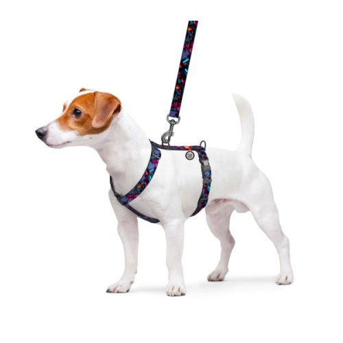 Шлея для собак WAUDOG Nylon анатомічна H-подібна з QR-паспортом "Нескінченні світи" пластиковий фастекс, L (345-4058)