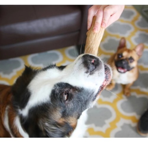 Іграшка для собак Petstages Dogwood Stick "Міцна гілка" 19.5 см (0871864002185)