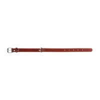 Нашийник для тварин Collar одинарний Ш 25 мм Д 38-50 см коричневий (02196)
