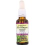 Трави Natural Factors Олія орегано в краплях, Oil of Oregano Liquid, 30 мл (NFS04571)