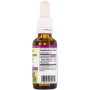Трави Natural Factors Олія орегано в краплях, Oil of Oregano Liquid, 30 мл (NFS04571)