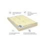 Ковдра MirSon антиалергенна Тенцель (Modal) №1346 Carmela Hand Made Демісезонна 200x220 см (2200001527638)