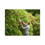 Кущоріз Black&Decker 500W, ніж 55 см, до 16 мм, з доп ножем, вага 2,54 кг (BEHTS401)