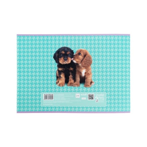 Альбом для малювання Kite Studio Pets, 24 аркуша (SP25-242)