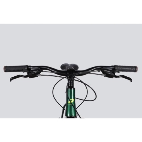 Велосипед Formula 29" MOTION DD FR рама-19" AL 2026 зелений (OPS-FR-29-421)