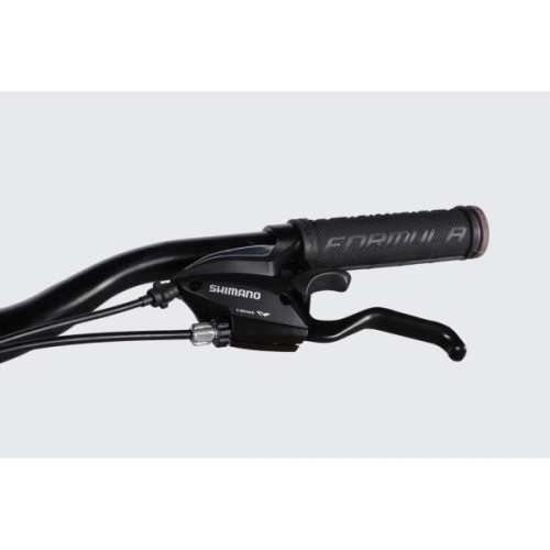 Велосипед Formula 29" MOTION DD FR рама-19" AL 2026 зелений (OPS-FR-29-421)