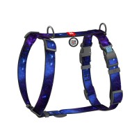 Шлея для собак WAUDOG Nylon анатомічна H-подібна з QR-паспортом "NASA21" пластиковий фастекс, S (343-0148)