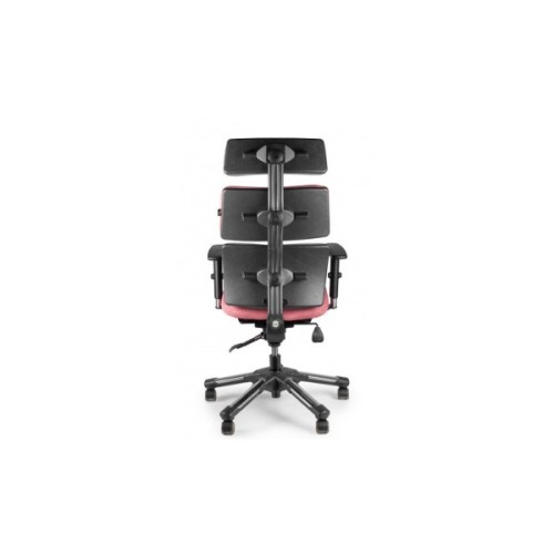 Офісне крісло Barsky Hara Doctor gold BHD-05 (BHD-05)