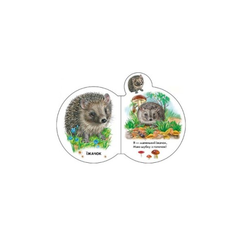 Книга Малята у лісі + Аудіо-бонус - Ірина Сонечко Ранок (9789667508609)