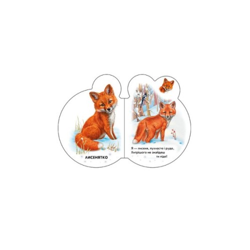 Книга Малята у лісі + Аудіо-бонус - Ірина Сонечко Ранок (9789667508609)