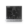 Струни для скрипки D'Addario Kaplan Vivo Violin String Set 4/4 Scale Medium Tension (KV310 4/4M)