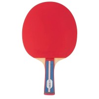 Ракетка для настільного тенісу Gewo Standard Pro FL (600300001) (931331)