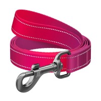 Повідець для собак WAUDOG Nylon Mono світловідбивний S рожевий (46357)