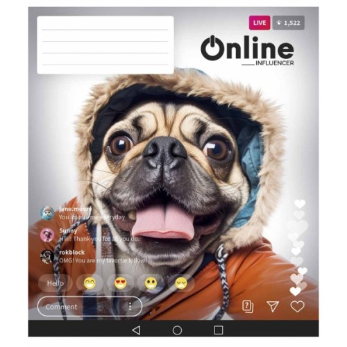 Зошит Школярик Online 48 аркушів клітинка (048-3420K)