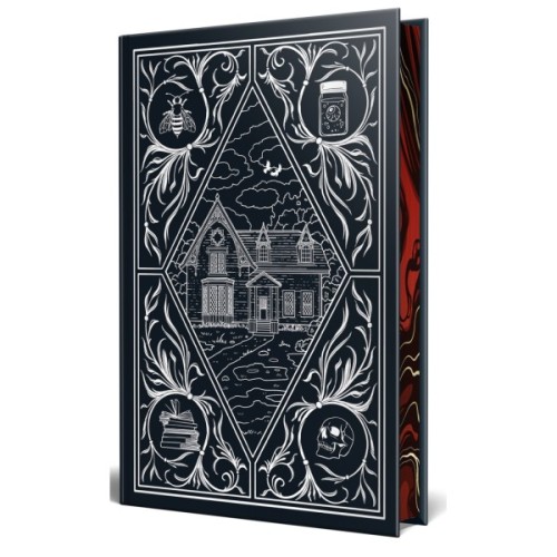 Книга Чорнило. Кров. Сестра. Книжник - Емма Терзс Видавництво РМ (9786178373900)