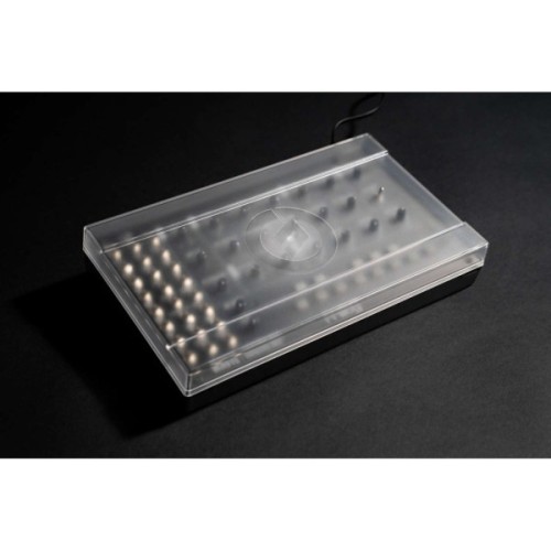 Синтезатор Moog Music Mavis (240985)